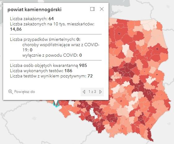 Koronawirus - statystyka - powiat kamiennogórski - 26.1.2022. 