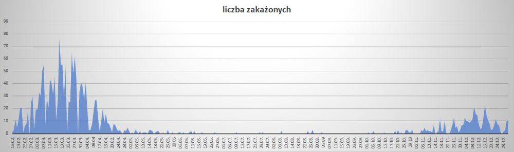 Koronawirus - powiat kamiennogórskie - rok 2021