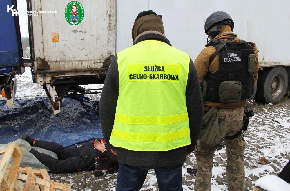 Shila pomogła wytropić 16 ton krajanki tytoniowej wartej prawie 12 mln zł