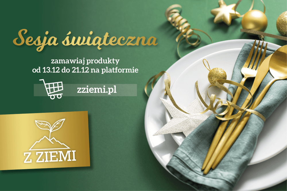Sesja Świąteczna!
