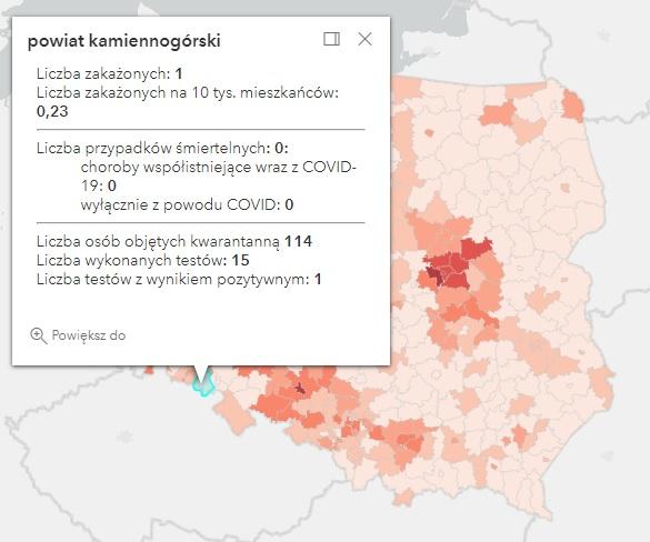 Koronawirus - statystyka - powiat kamiennogórski - 29.11.2021. 