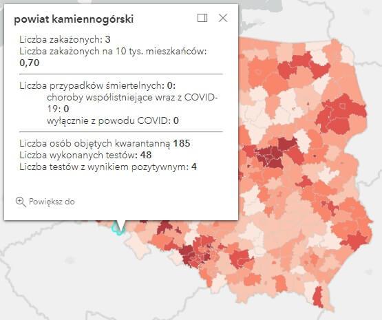 Koronawirus - statystyka - powiat kamiennogórski - 24.11.2021. 
