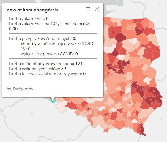 Koronawirus - statystyka - powiat kamiennogórski - 23.11.2021. 