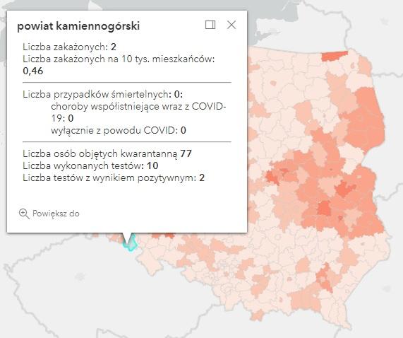 Koronawirus - statystyka - powiat kamiennogórski - 8.11.2021. 
