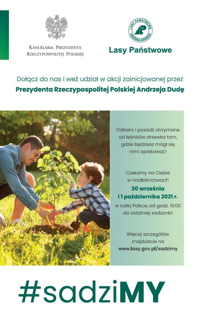 Sadzonki od Nadleśnictwa