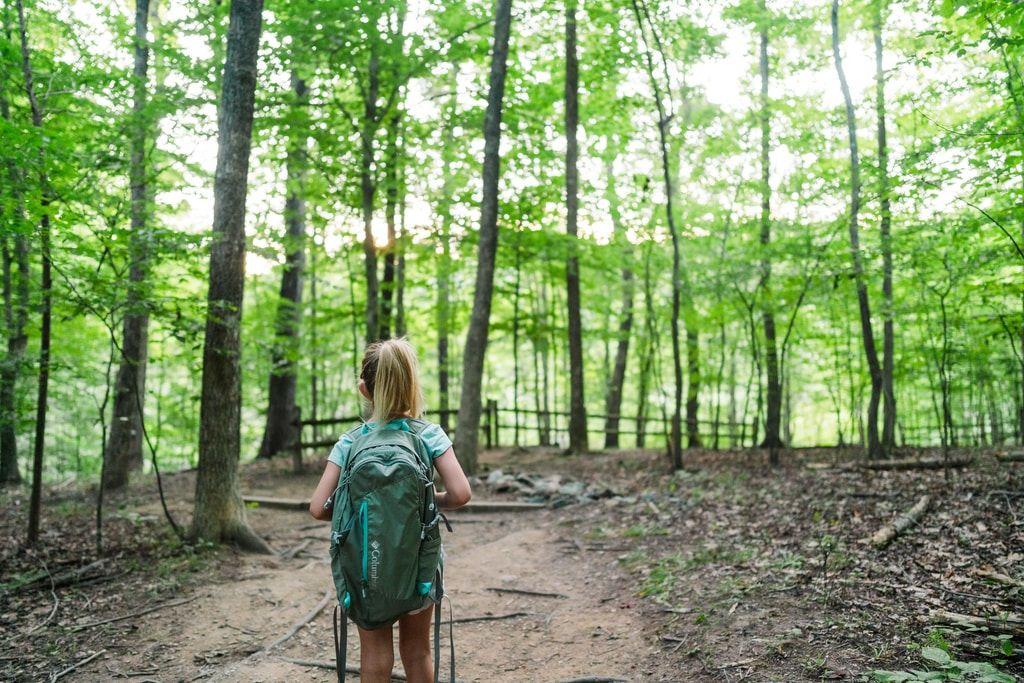 Motywy leśne - przenieś pokój Twojego dziecka do bajkowej krainy