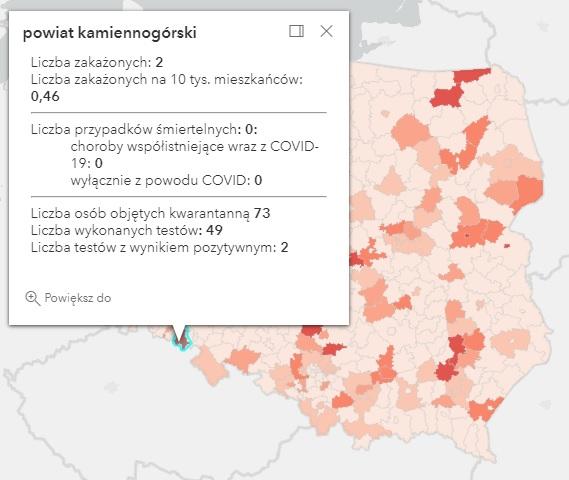 Koronawirus - statystyka - powiat kamiennogórski - 24.8.2021.