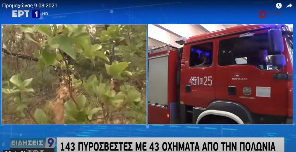 Kamiennogórscy strażacy w greckiej telewizji - wideo