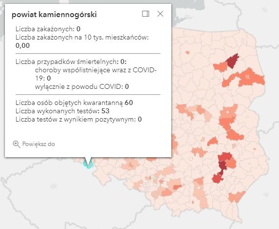 Koronawirus - statystyka - powiat kamiennogórski - 4.8.2021.