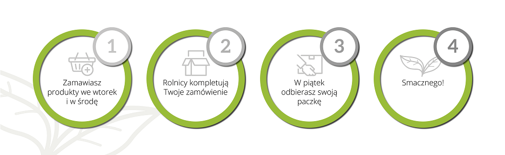 zziemi.pl