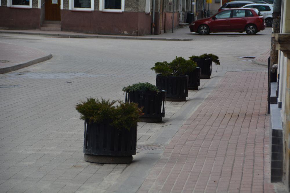 Kwietniki w centrum