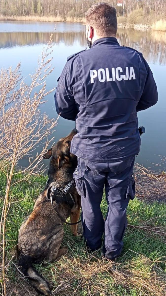 Pies pomógł w poszukiwaniach