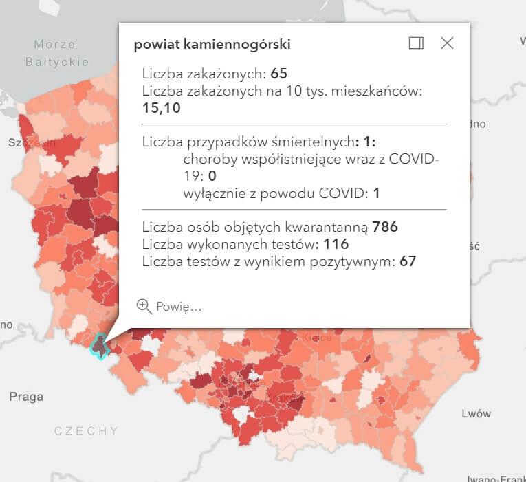 Koronawirus - statystyka - powiat kamiennogórski - 25.3.2021.
