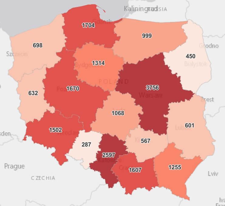 Koronawirus - statystyka - powiat kamiennogórski - 11.3.2021.