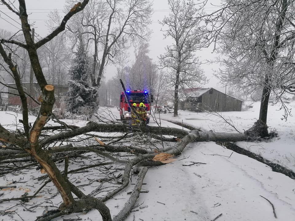 Oczyścili drogę