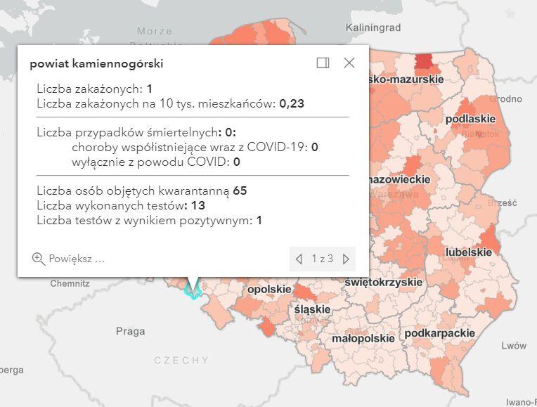 Koronawirus - statystyka - powiat kamiennogórski - 31.1.2021.