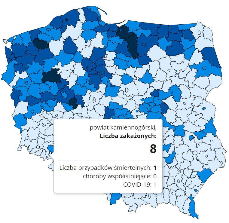 Koronawirus - statystyka - powiat kamiennogórski - 1.1.2021.