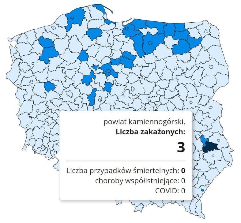 Koronawirus - statystyka - powiat kamiennogórski - 22.12.2020.