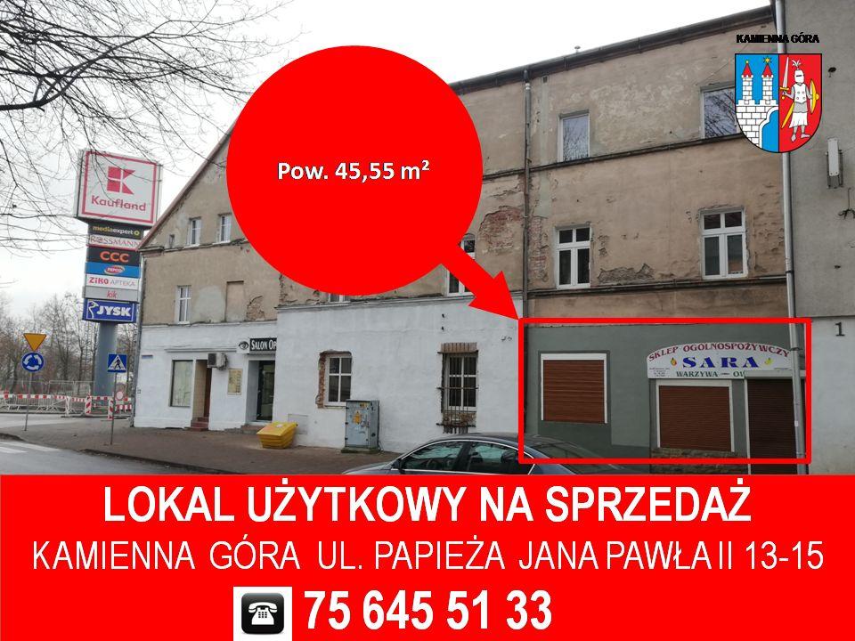 Kamienna Góra - lokal użytkowy - I przetarg