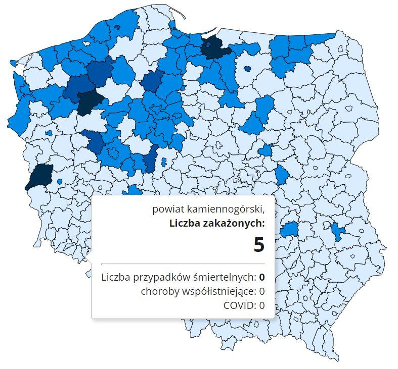 Koronawirus - statystyka - powiat kamiennogórski - 20.12.2020.