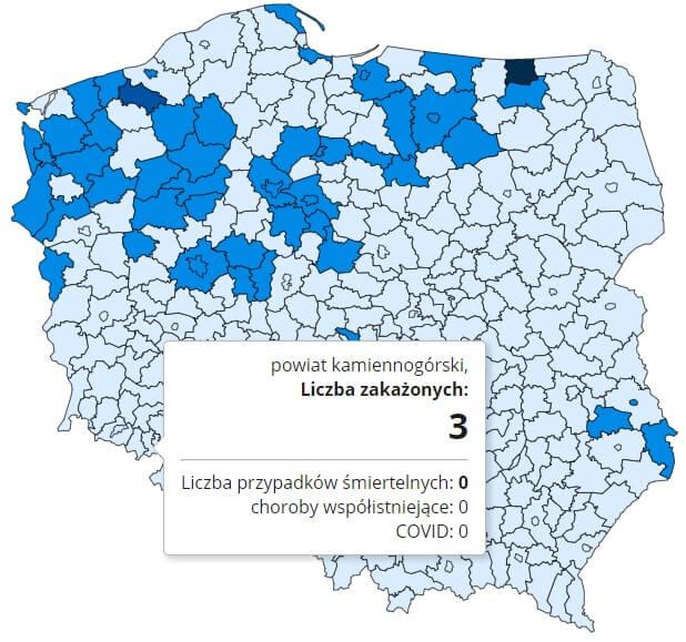 Koronawirus - statystyka - powiat kamiennogórski - 17.12.2020.
