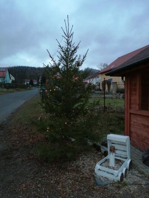 Choinka w Raszowie - Twoja powiatowa