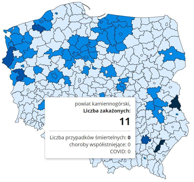 Koronawirus - statystyka - powiat kamiennogórski - 12.12.2020.