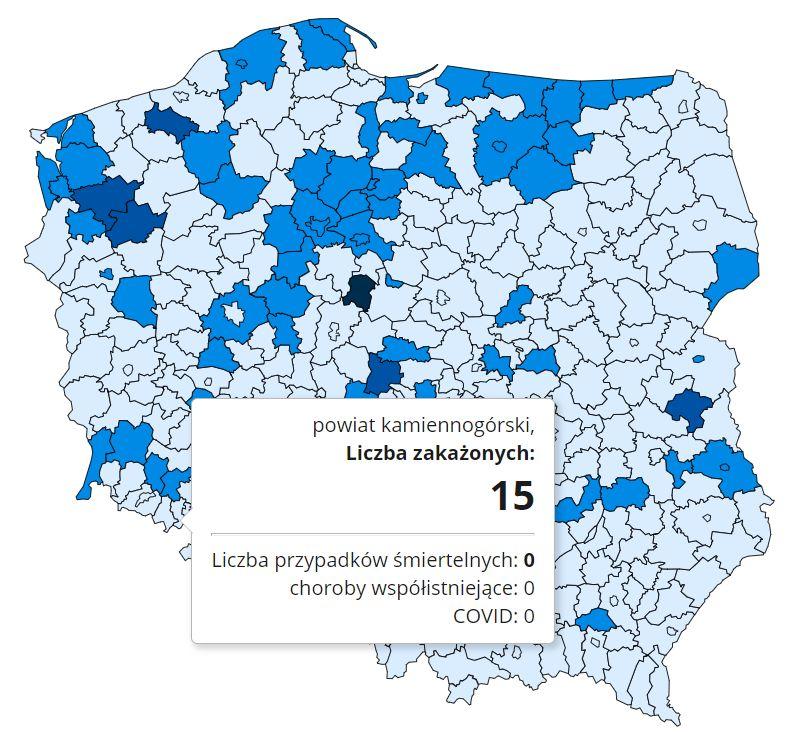 Koronawirus - statystyka - powiat kamiennogórski - 5.12.2020.