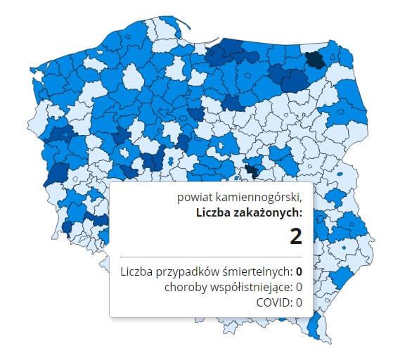 Koronawirus - statystyka - powiat kamiennogórski - 26.11.2020.