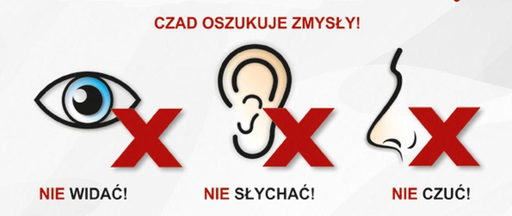 Czujka na straży Twojego bezpieczeństwa