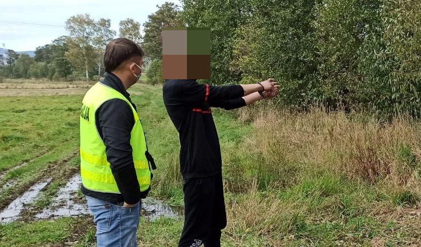 Kradzież w lesie