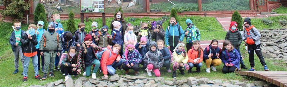 Zajęcia edukacyjne - Jak powstają wulkany?