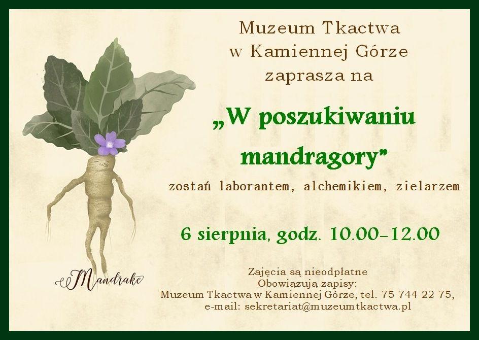 W poszukiwaniu mandragory