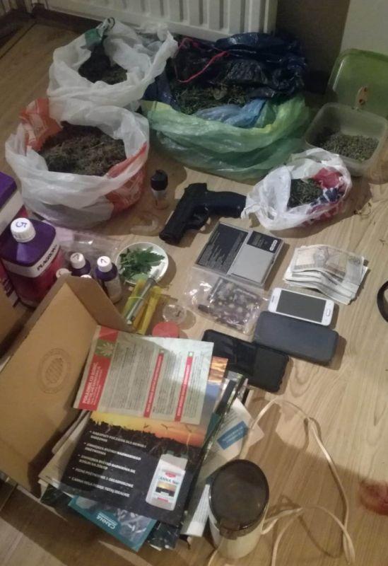 Narkotyki i plantacja