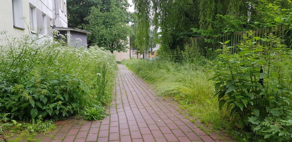 Trawę trzeba kosić - Twoja powiatowa