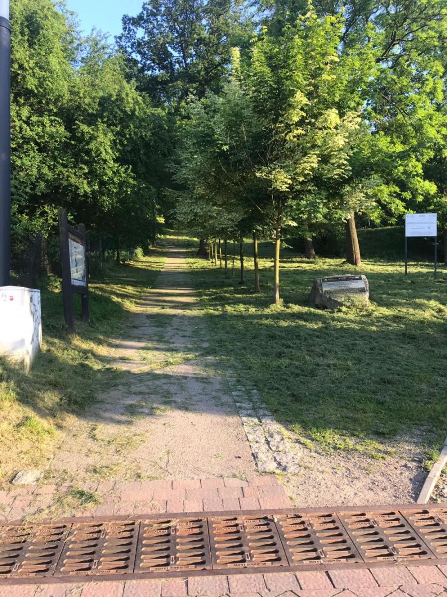 Zostawiona trawa - Twoja powiatowa
