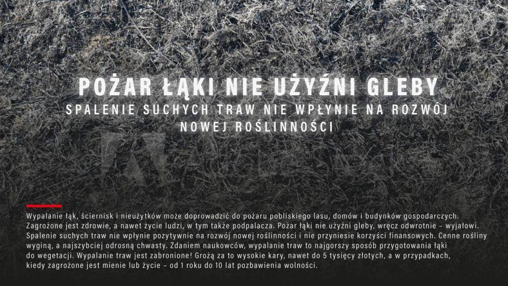 Stop pożarom traw