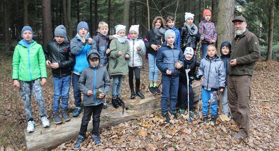 Poznawali warstwową budowę lasu w Szkółce Leśnej w Krzeszowie