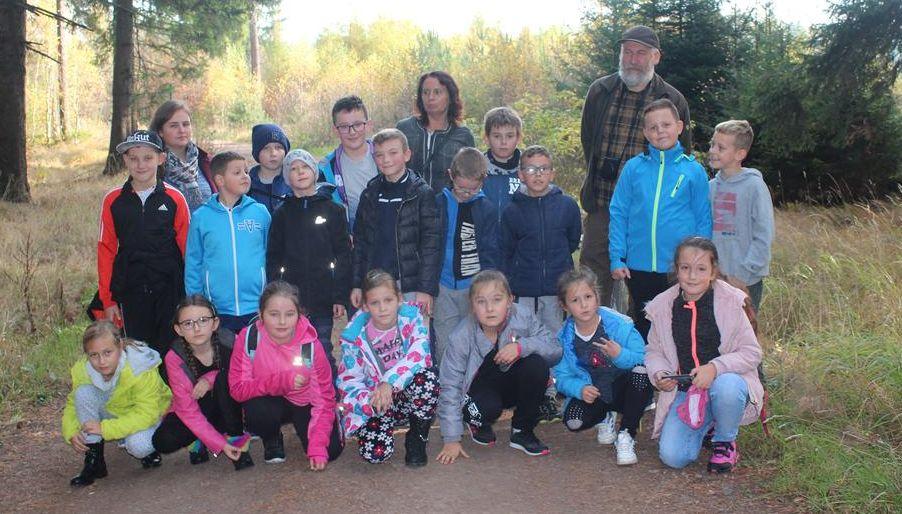 O warstwowej budowie lasu w Szkółce Leśnej w Krzeszowie