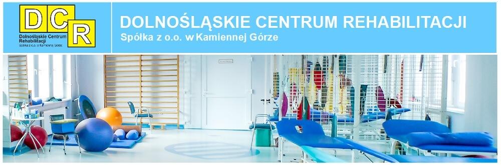 Świadczenie Usług Transportowych