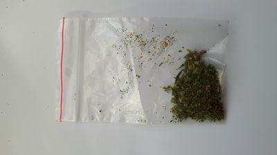 Marihuana w mieszkaniu