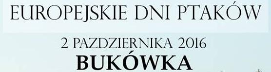 Europejskie Dni Ptaków