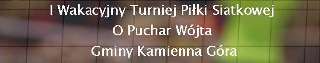 Siatkarski puchar wójta