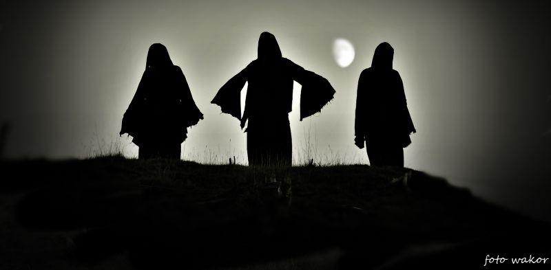 Brutal Assault - relacja