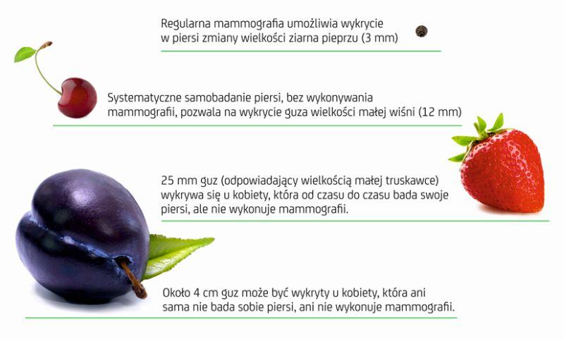 Mammobus w Lubawce