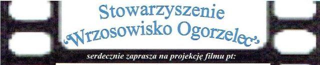 Czy Lucyna to dziewczyna?