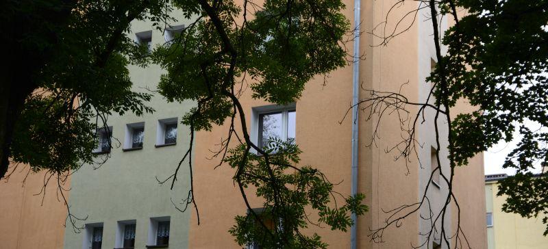 Suche konary ? Twoja powiatowa