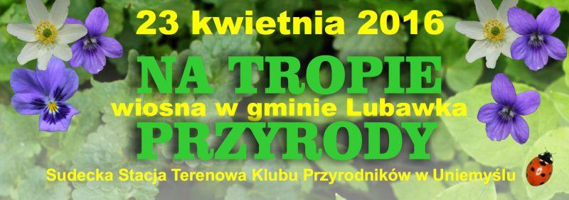 Wiosna w gminie Lubawka