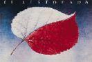 11 listopada w Centrum Kultury