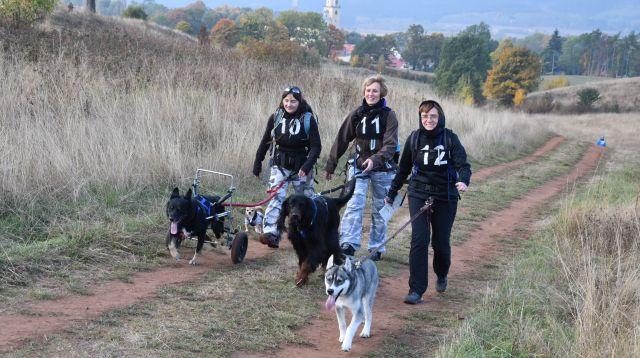 I Dogtreking